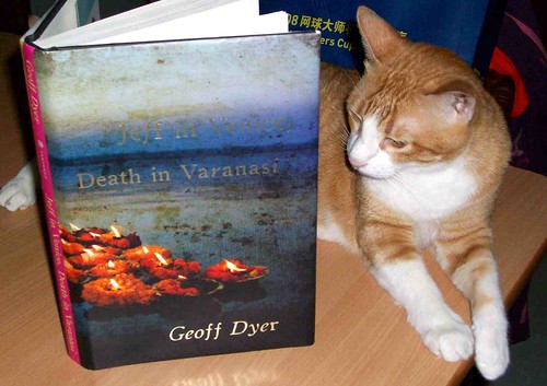 What Koosi is Reading