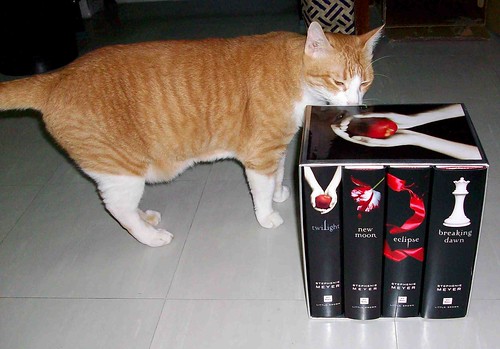 I know what's missing.