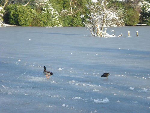 Berkshire, England by Catherine Batac Wilder