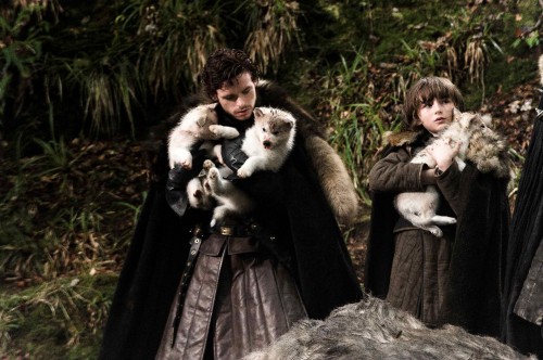game-of-thrones-setpics2-robb-bran-direwolves