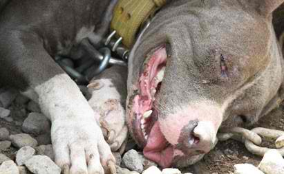 interphoto_1333269347