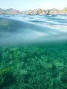 Bartolabac.Lilian.P1000244