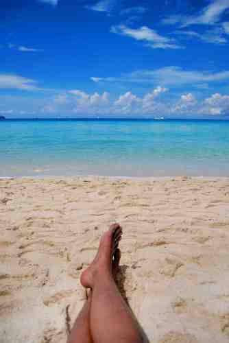 Tiger Traveller Entry - Sam Guison