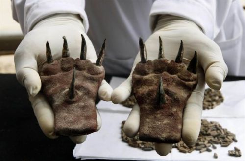 mlpdjjpntieour39mnhk