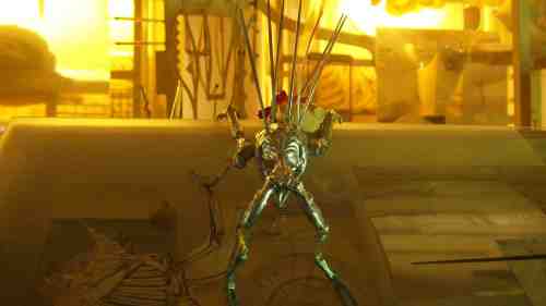 OLYMPUS DIGITAL CAMERA