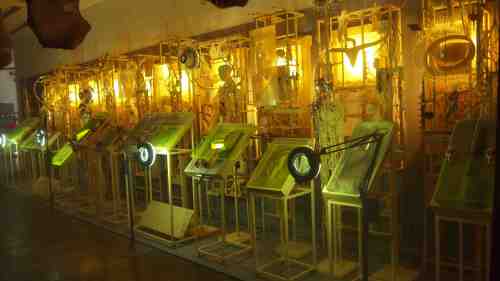 OLYMPUS DIGITAL CAMERA