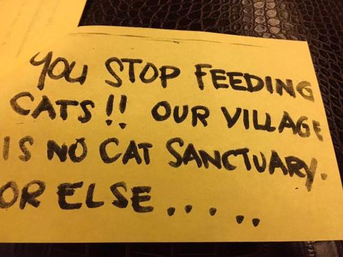 Cat Serial Killer Dasma 2