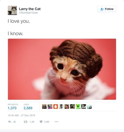 larry-to-leia