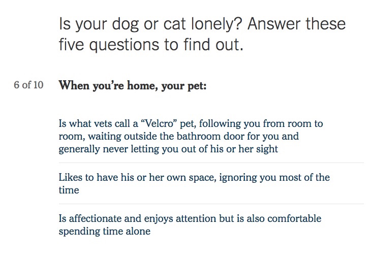 JessicarulestheUniverse | Is your pet lonely? Take this quiz.